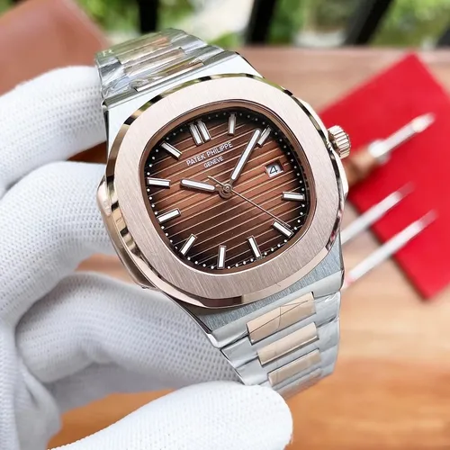Patek Philippe Two-Tone Stainless Steel - Brown Textured Dial